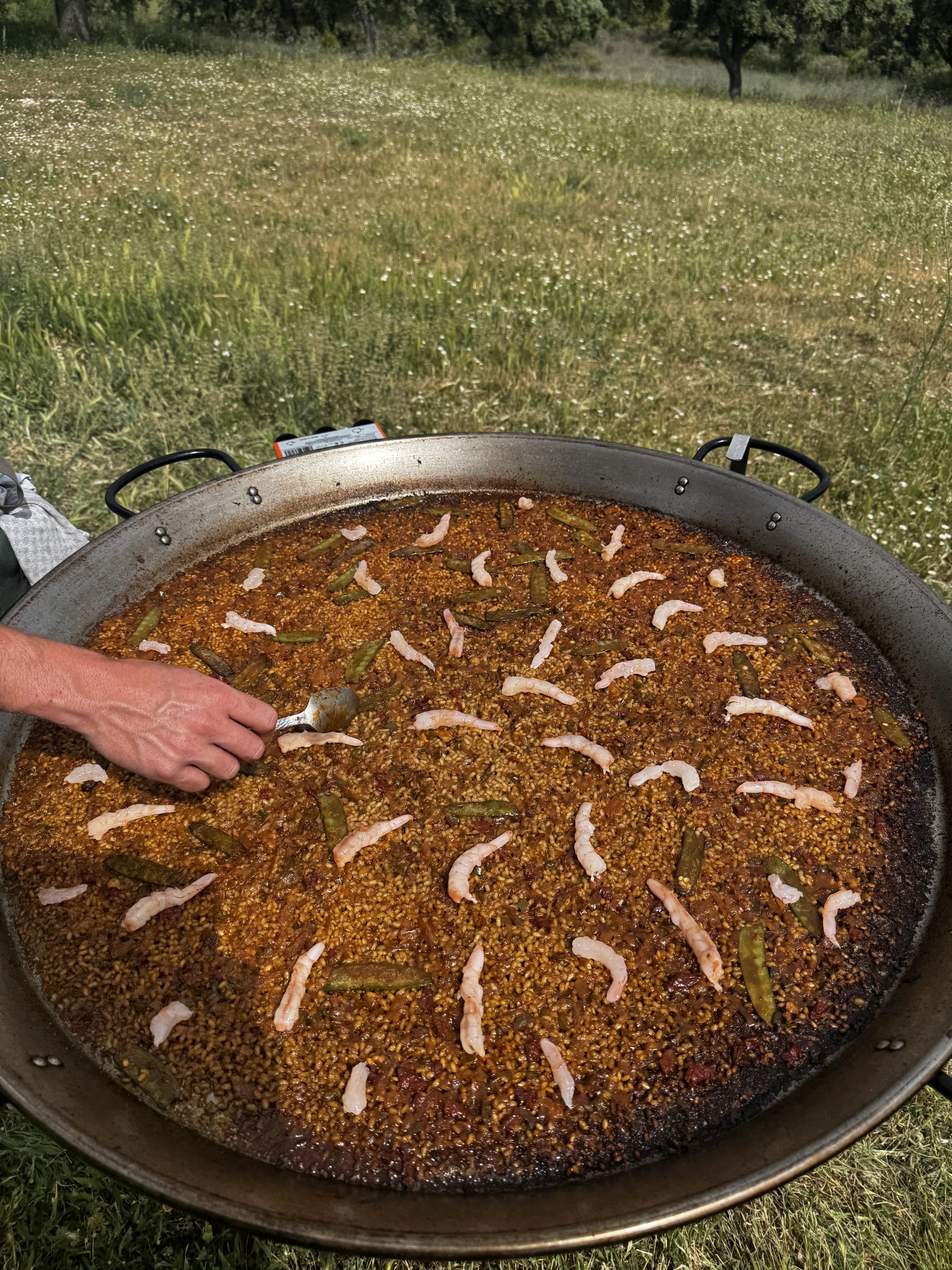 Galería I+D Arroz de gamba blanca de Huelva
